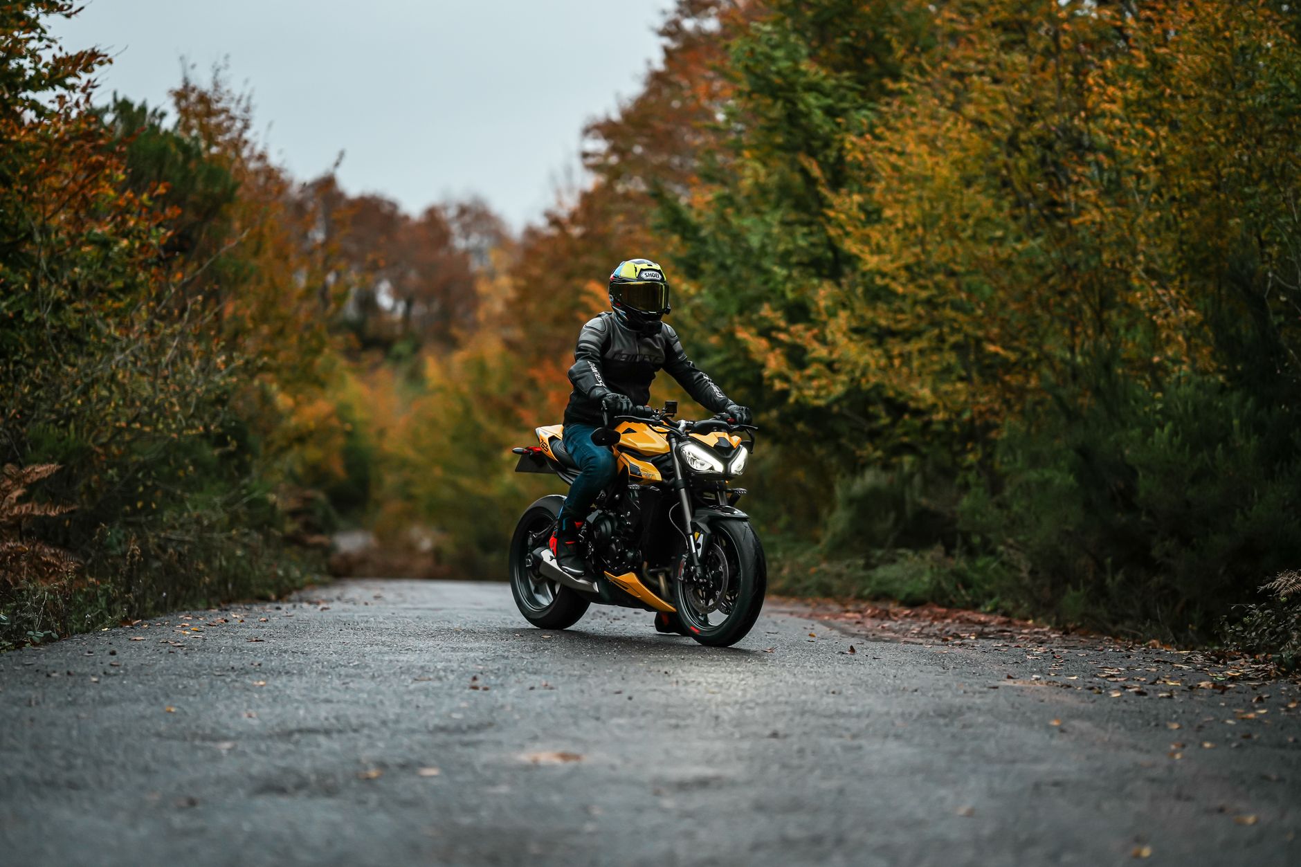 Dlaczego warto kupić gmole do motocykla marki Heed?