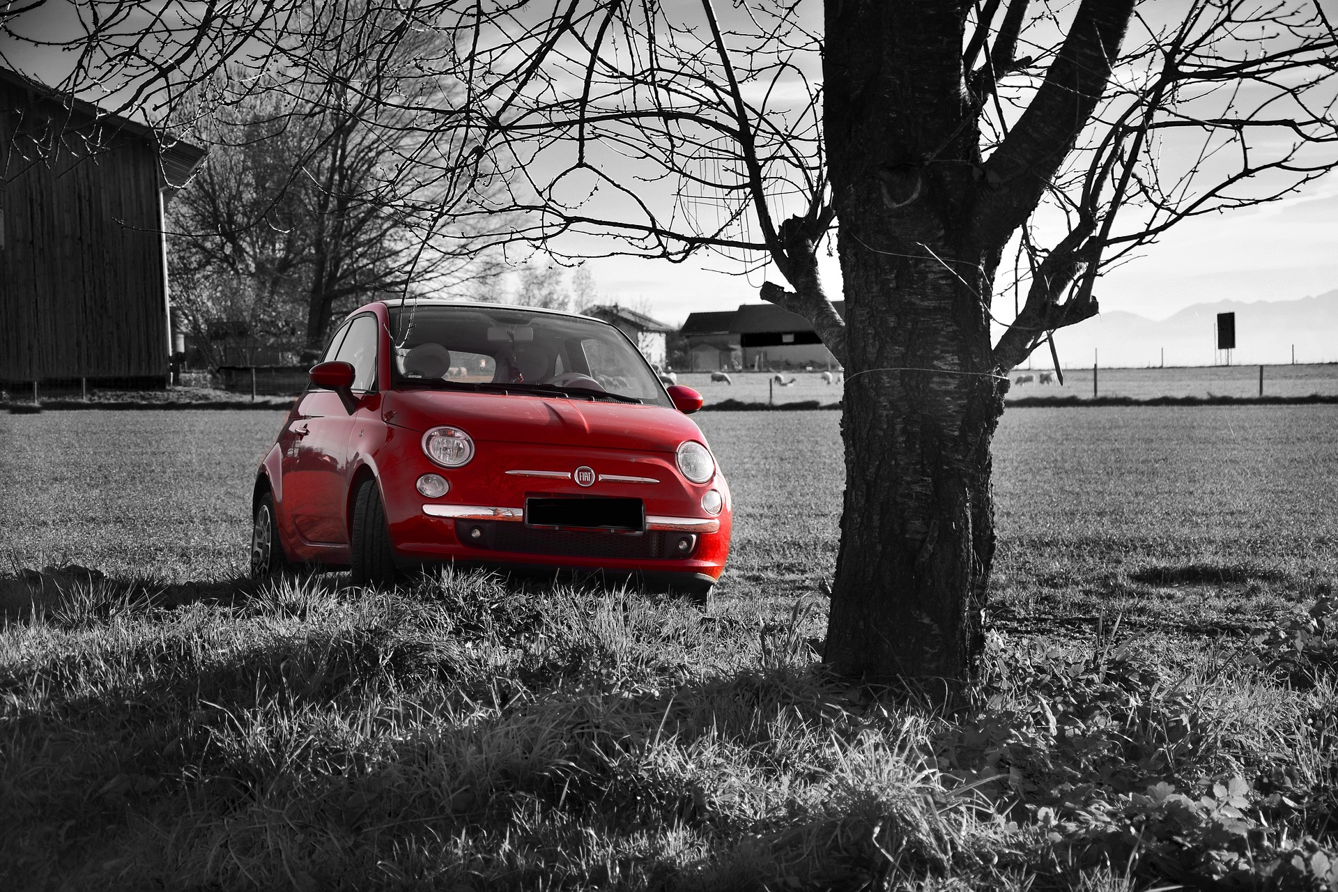 aso serwis fiat
