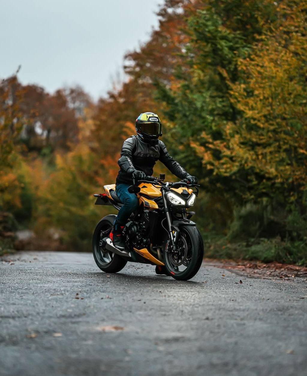 Dlaczego warto kupić gmole do motocykla marki Heed?